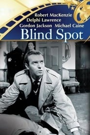 Blind Spot' Poster