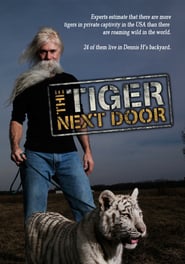 The Tiger Next Door' Poster
