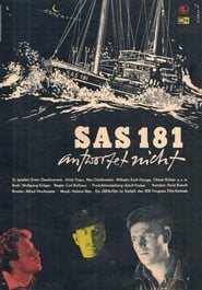 SAS 181 antwortet nicht' Poster