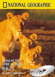 Lions of the African Night' Poster