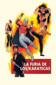 The Fury of the Karate Experts' Poster