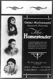 The Homesteader' Poster