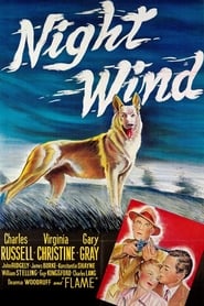 Night Wind' Poster