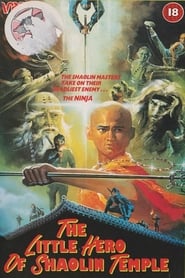 The Little Hero of Shaolin Temple' Poster