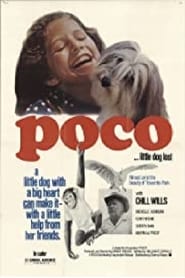 Poco Little Dog Lost' Poster