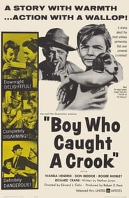 Boy Who Caught a Crook' Poster