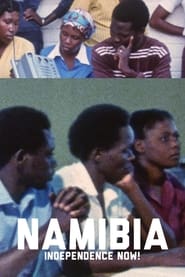 Namibia Independence Now' Poster