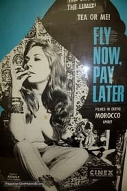 Fly Now Pay Later' Poster