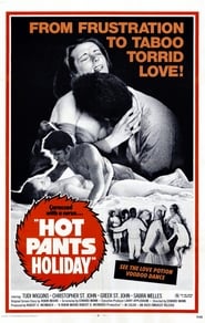 Hot Pants Holiday' Poster