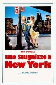 Neapolitan Boy in New York' Poster