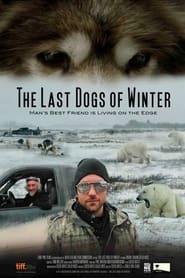 The Last Dogs of Winter' Poster
