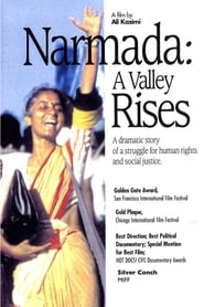 Narmada A Valley Rises' Poster