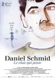 Daniel Schmid Le Chat Qui Pense' Poster