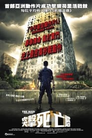 The Raid' Poster