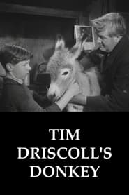 Tim Driscolls Donkey