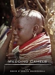 The Wedding Camels' Poster