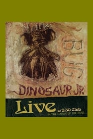 Dinosaur Jr Bug Live at 930 Club' Poster