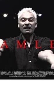 Hamlet' Poster