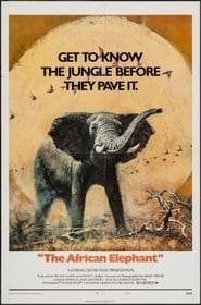 The African Elephant' Poster