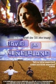 David im Wunderland' Poster