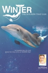 Winter the Dolphin that Can' Poster