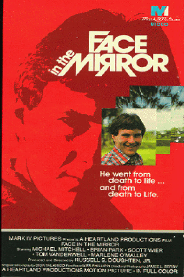 Face in the Mirror Poster
