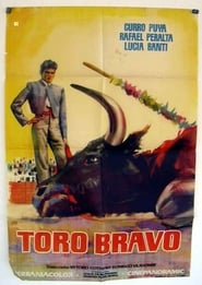 Toro bravo' Poster