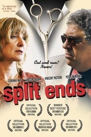 Split Ends' Poster