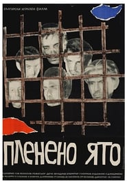 Captive Flock' Poster