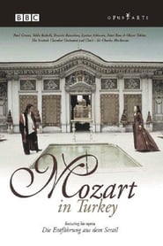 Mozart in Turkey' Poster