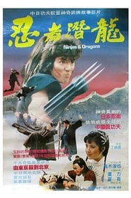 Ninjas and Dragons' Poster