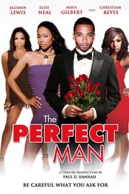 The Perfect Man' Poster