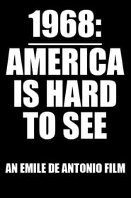 America Is Hard to See' Poster