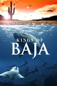 Kings of Baja' Poster