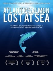 Atlantic Salmon Lost at Sea' Poster
