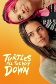 Turtles All the Way Down' Poster