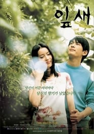 The Scent of Love' Poster