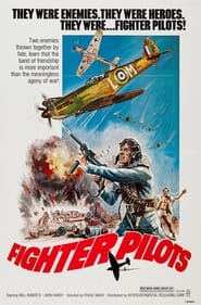 Fighter Pilots' Poster