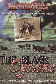Black Cyclone' Poster
