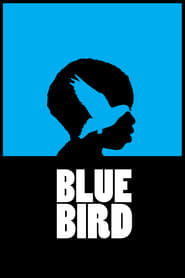 Blue Bird' Poster