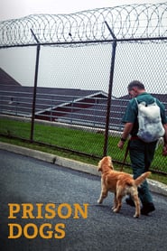 Prison Dogs' Poster