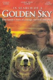 In Search of a Golden Sky' Poster