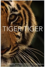 Tiger Tiger' Poster