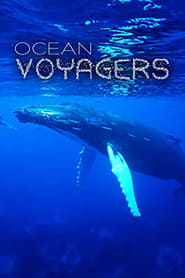 Ocean Voyagers' Poster