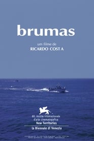 Brumas' Poster