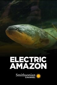 Electric Amazon' Poster