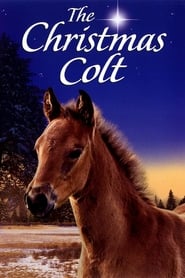 The Christmas Colt' Poster