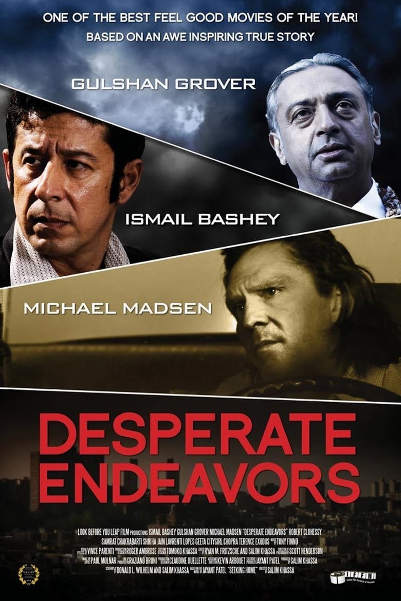 Desperate Endeavors Poster