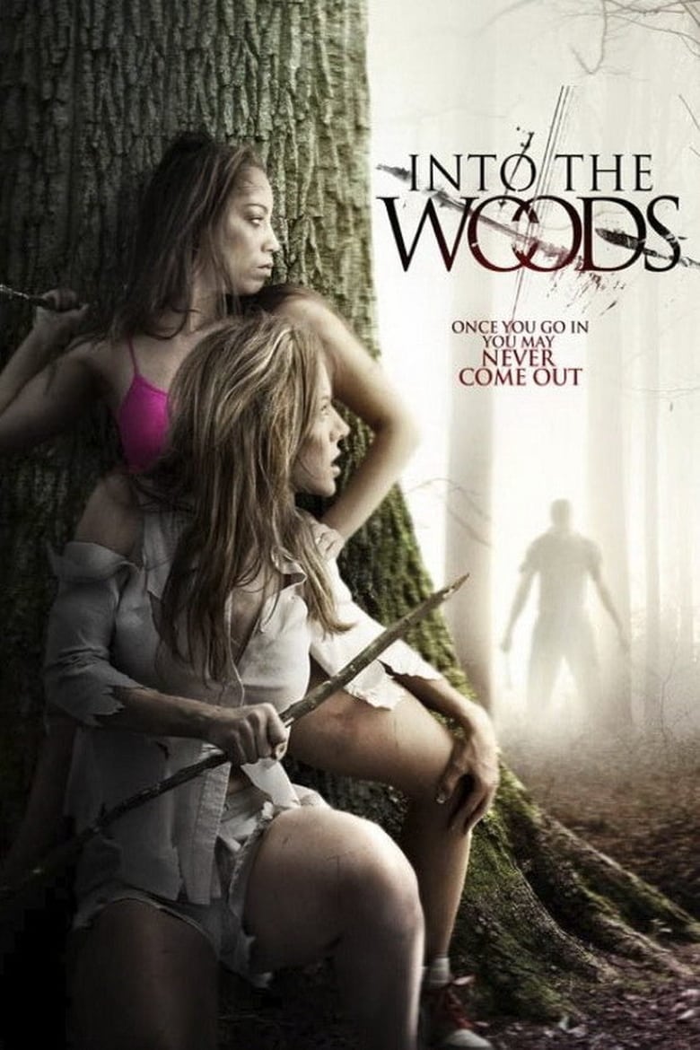 Into the Woods Poster