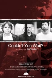 Couldnt You Wait' Poster